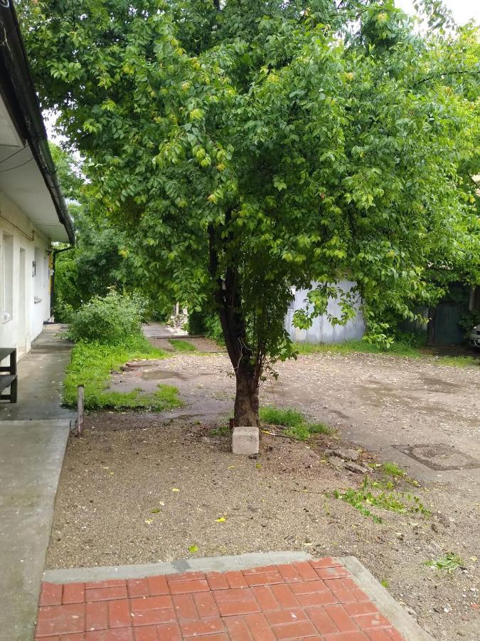 Apartament Garsoniera In Centru Kluż-Napoka Zewnętrze zdjęcie